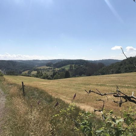 Вілла Gluehalm Willingen Віллінген Екстер'єр фото