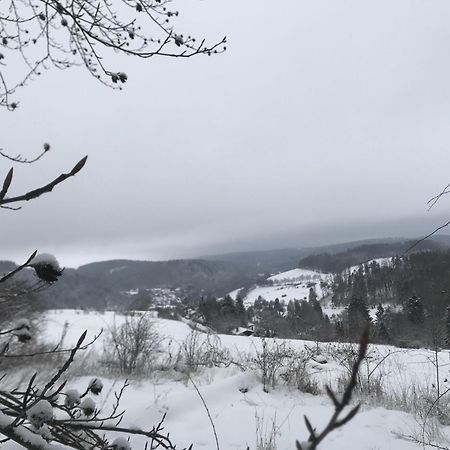 Вілла Gluehalm Willingen Віллінген Екстер'єр фото