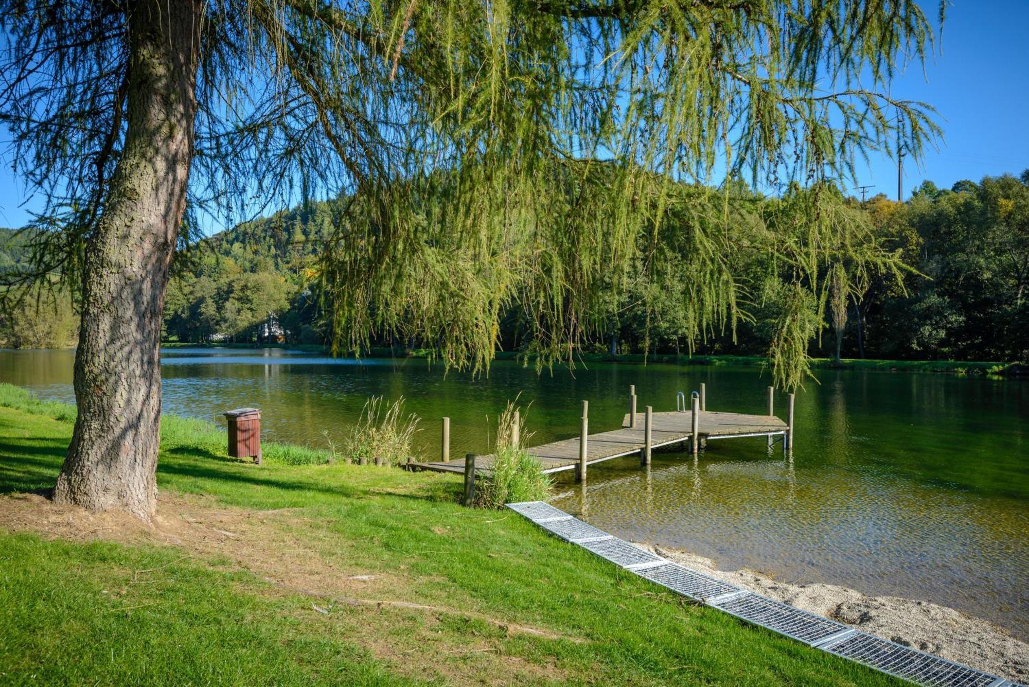 Вілла Gluehalm Willingen Віллінген Екстер'єр фото