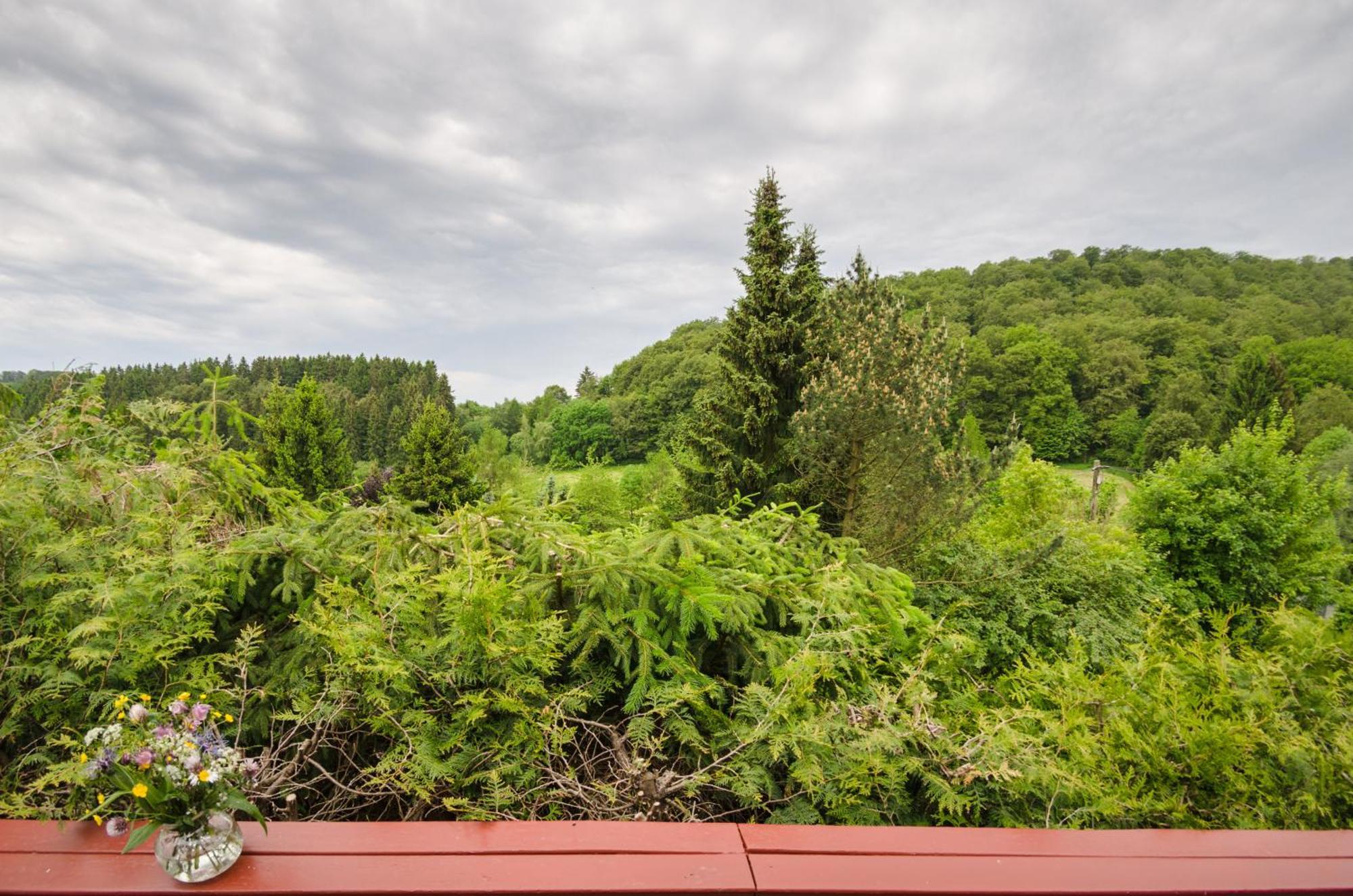 Вілла Gluehalm Willingen Віллінген Екстер'єр фото